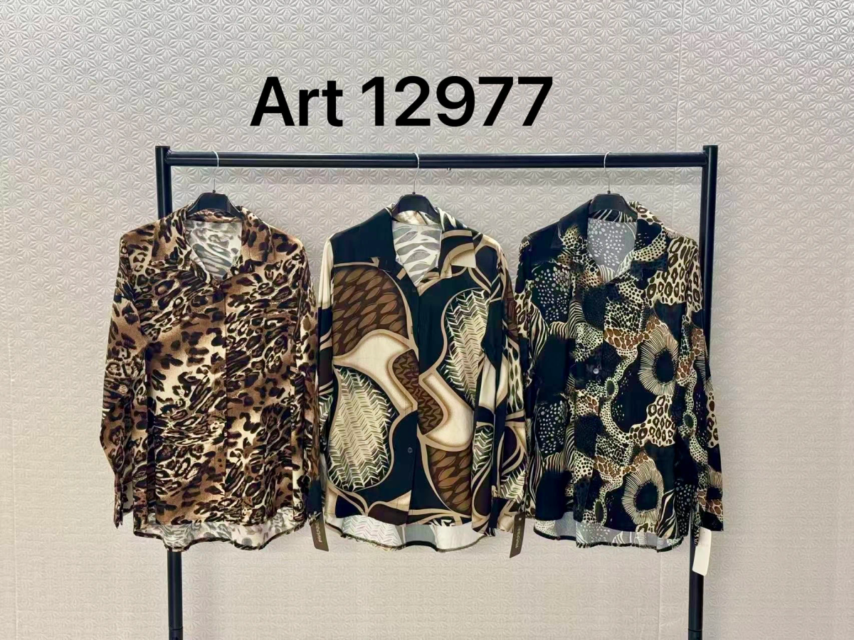 Chemise Oversize imprimé 2